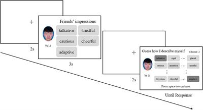 The ROCK Tool: A Novel Method for the Structural Exploration of Schemata